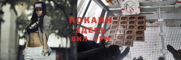мескалин Заводоуковск