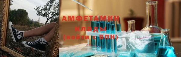 индика Елабуга