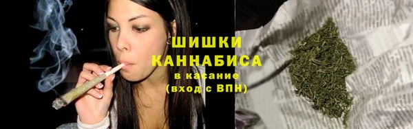 мескалин Заводоуковск