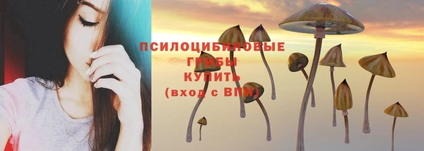 мескалин Заводоуковск