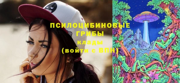 a pvp Заволжск