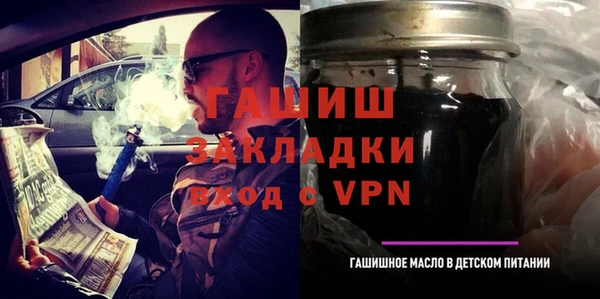 гашик Ельня
