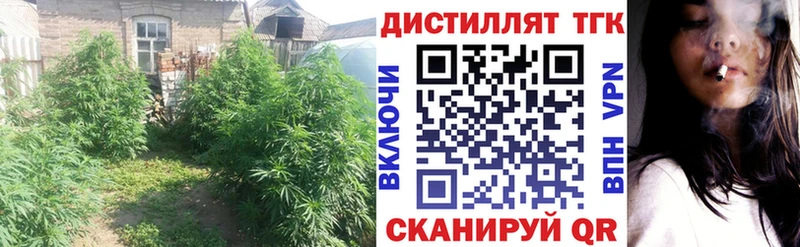 нарко площадка как зайти Черкесск Дистиллят ТГК THC oil