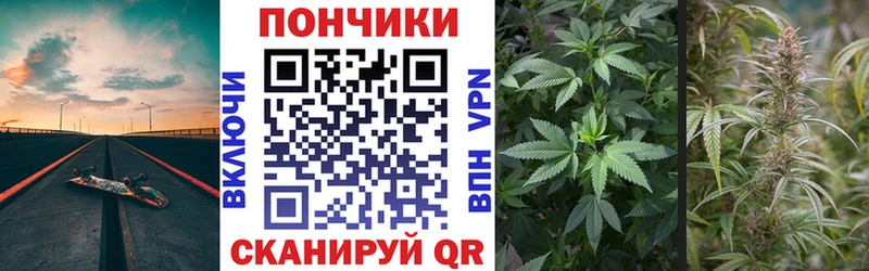 Конопля гибрид  купить  сайты  Черкесск 